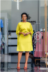 Elegant Shift dress